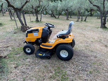 Giardiniere manutenzione verde