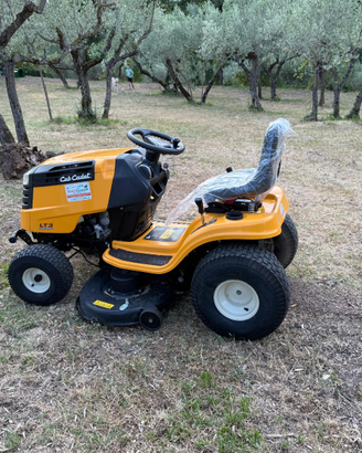 Giardiniere manutenzione verde
