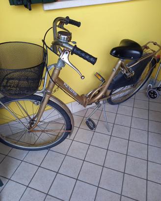 Bici da signora pieghevole