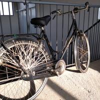 Bici da donna revival 