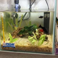 Acquario 18 Lt acqua dolce