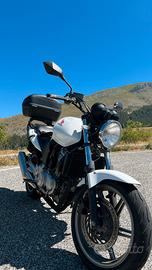 Honda CBF 500 del 2006