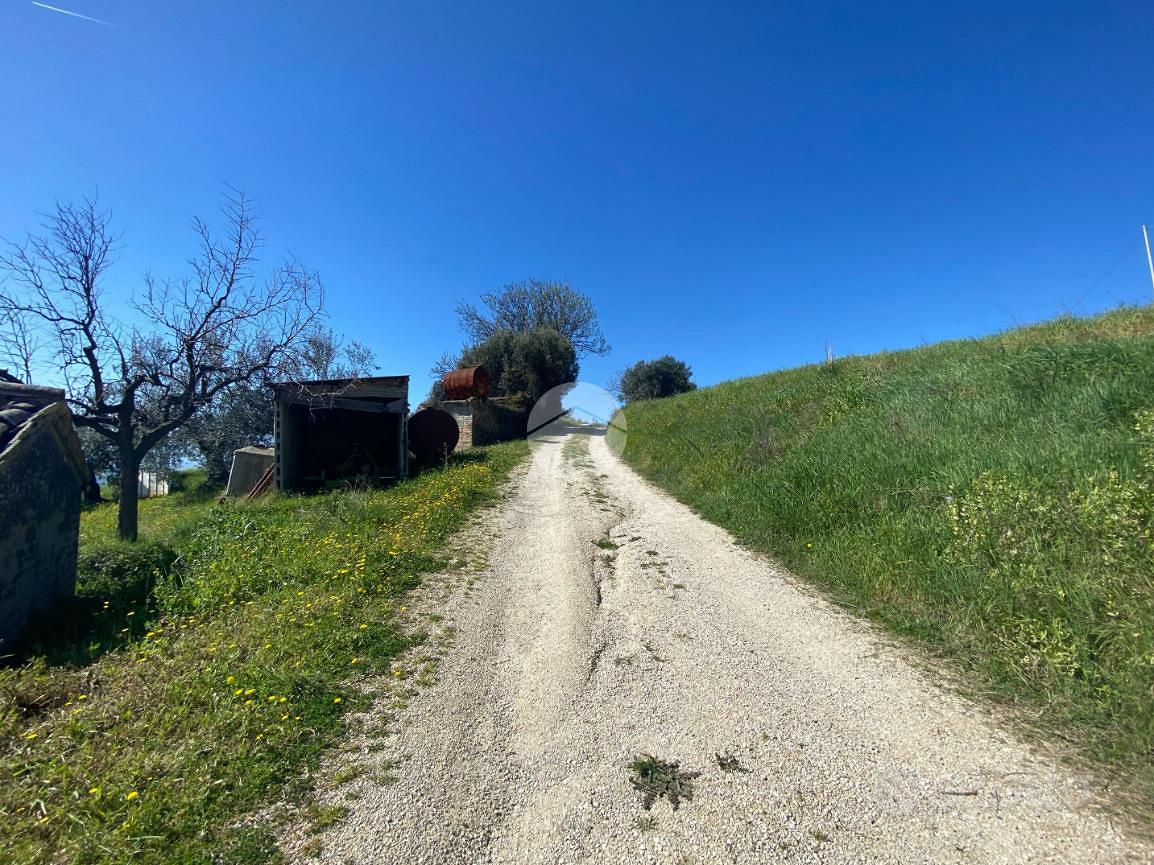 RUSTICO A OFFIDA - Vista 2