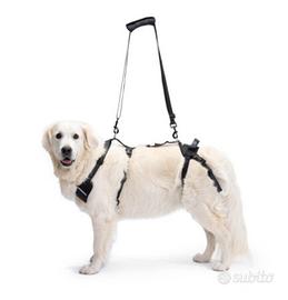 Imbracatura 4 zampe cane