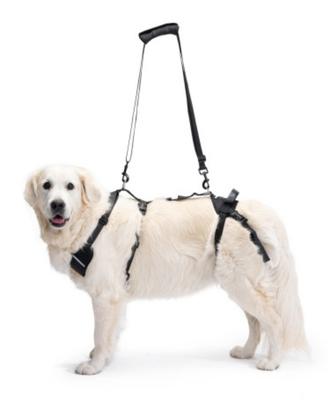 Imbracatura 4 zampe cane