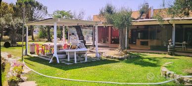 Ristorante struttura commerciale