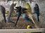 Immagine 2