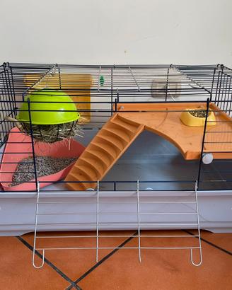 Gabbia per coniglio