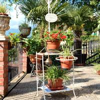 Antico petinoise Porta fiori Giardino