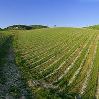 Stampa fotografica FINE ART alta qualità (#18)