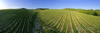 Stampa fotografica FINE ART alta qualità (#18)