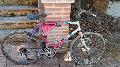 Bicicletta Atala 