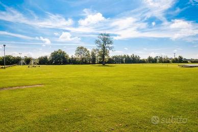 Terreno pianeggiante 5000 mq sulla strada