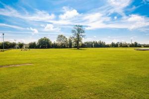 Terreno pianeggiante 5000 mq sulla strada