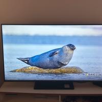 Venta veloce tutto per un solo prezzo