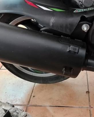 marmitta Giannelli freeway