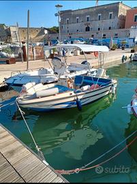 Barea 5 metri motore Johnson 40 CV guidabile senza