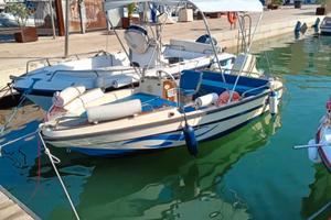 Barea 5 metri motore Johnson 40 CV guidabile senza