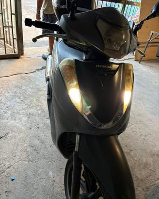 Sh300 sport (2009)