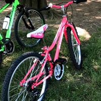 Bici Atala ragazza 24