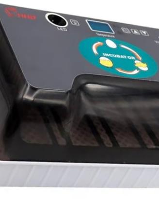 Incubatrice 12 uova