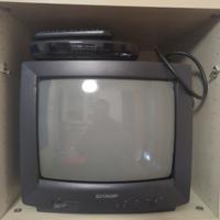 TV cadotica + digitale terrestre