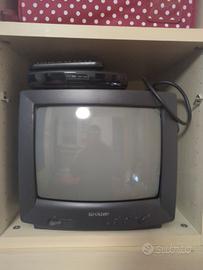 TV cadotica + digitale terrestre