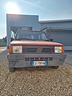 fiat-panda-1100-i-e-cat-young