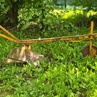 Attrezzi da giardino sono 2.