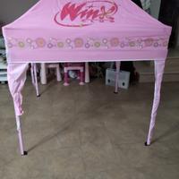 Gioco Winx 
