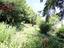 Immagine 24