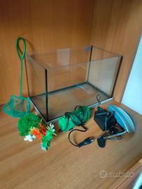 acquario 