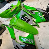 Plastiche kawasaki kxf 250