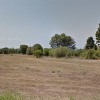 Terreni agricoli in Calabria