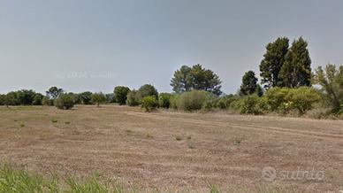 Terreni agricoli in Calabria