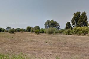 Terreni agricoli in Calabria