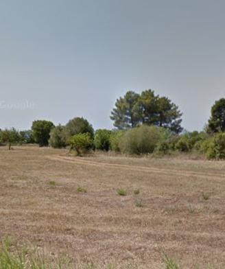 Terreni agricoli in Calabria
