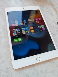 iPad mini 5 generazione quasi nuovi