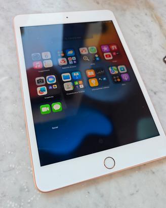 iPad mini 5 generazione quasi nuovi