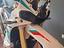 Immagine 3