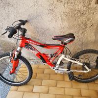 Bicicletta da bambino