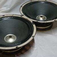 IREL 12" speaker for Fender (type Jensen Celestion