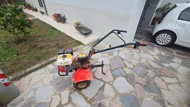 Motozappa Benassi bl150h