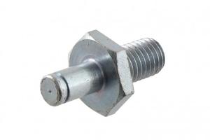 Perno cerniera pianale Ape Poker TM P703 Car 21973