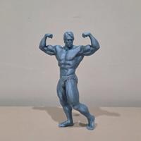 Arnold Schwarzenegger posa bicipite laterale