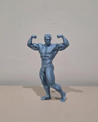 Arnold Schwarzenegger posa bicipite laterale