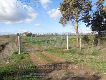 Magazzino Assemini [A4344022]