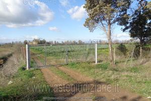 Magazzino Assemini [A4344022]