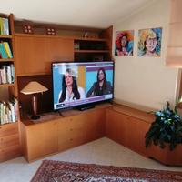 mobile TV e  libreria 
