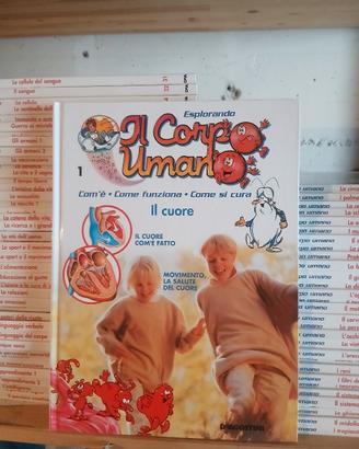 il corpo umano enciclopedia x ragazzi 